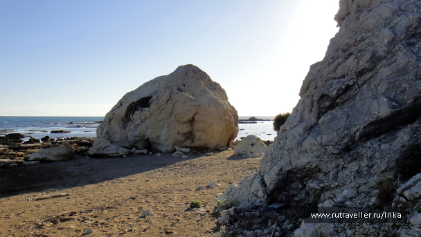 photo 1756359