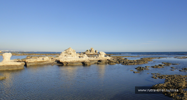photo 1795363