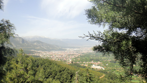 photo 1757520