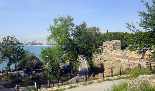 DSC02504