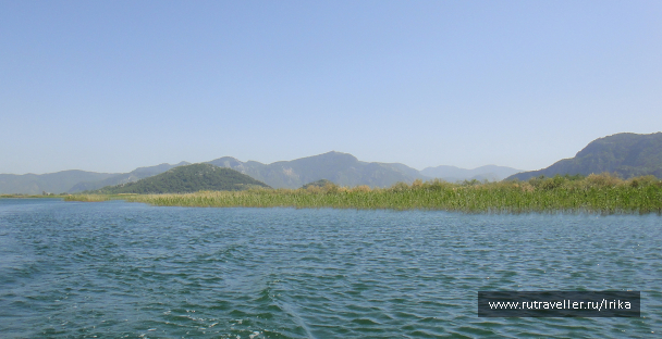 photo 1285509
