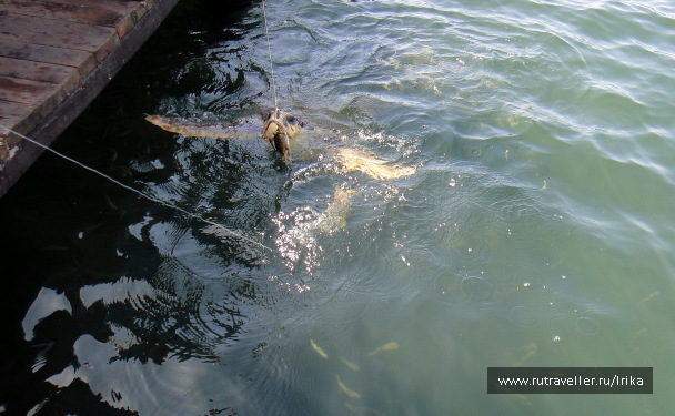 photo 1707864
