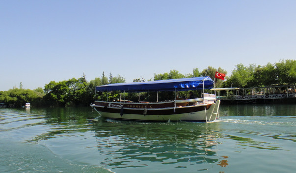 DSC03543