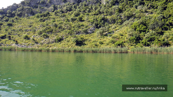 photo 1712663