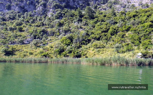 photo 1712664