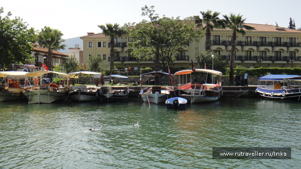 photo 1714195