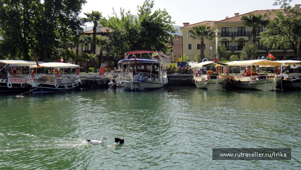 photo 1714196