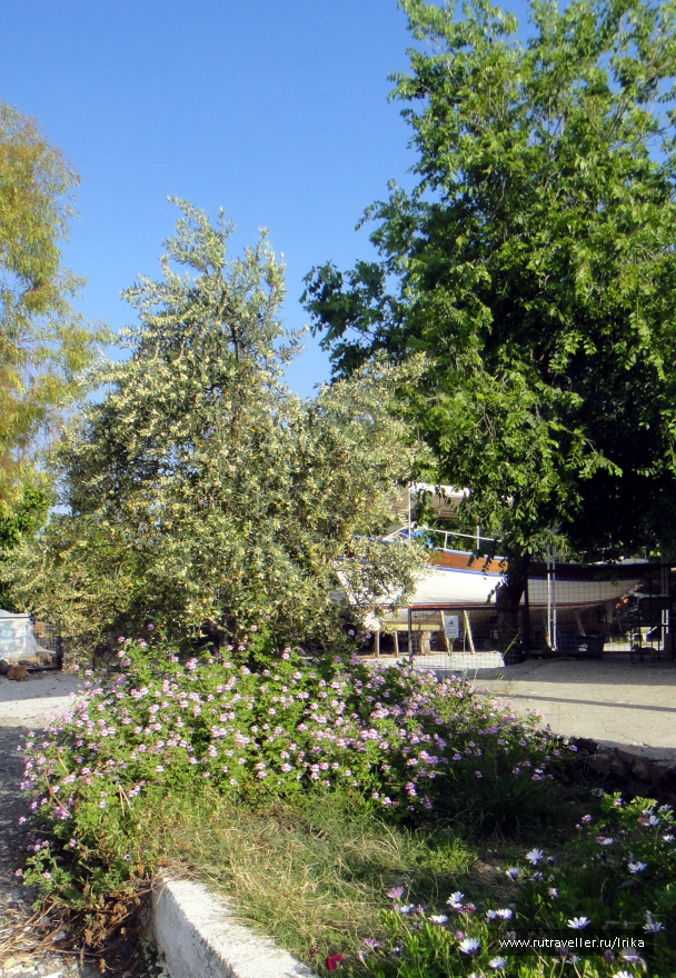 photo 1715546