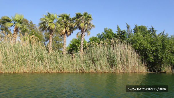 photo 1715840