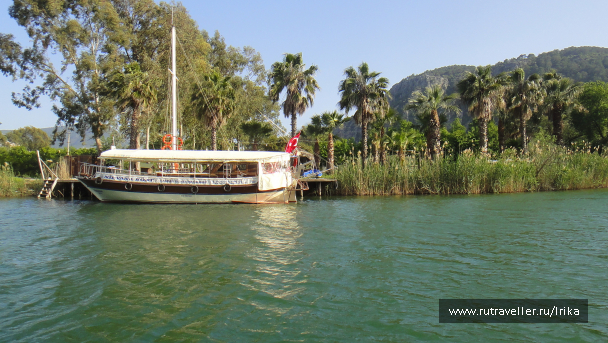 photo 1715841