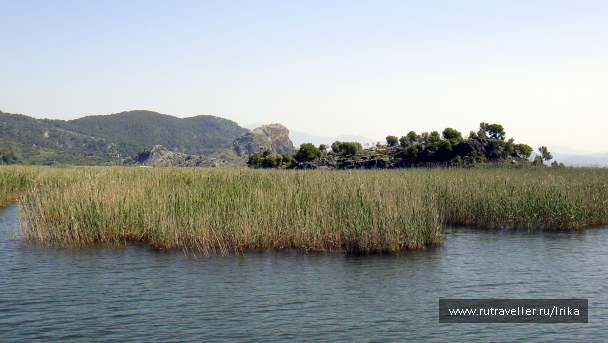 photo 1716556