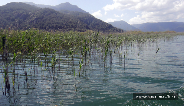 photo 1717691