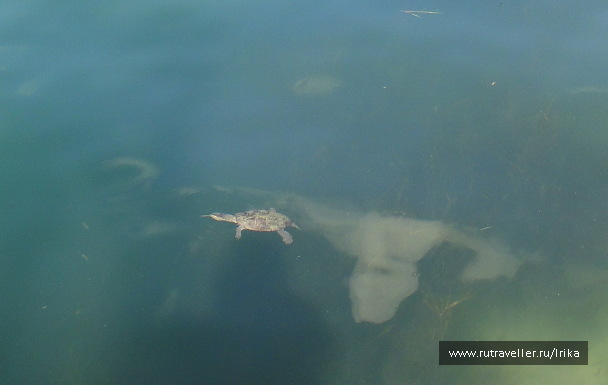 photo 1718412