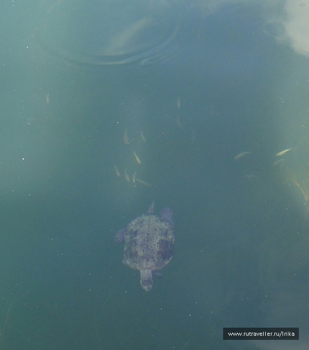 photo 1718785