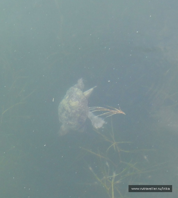 photo 1718786