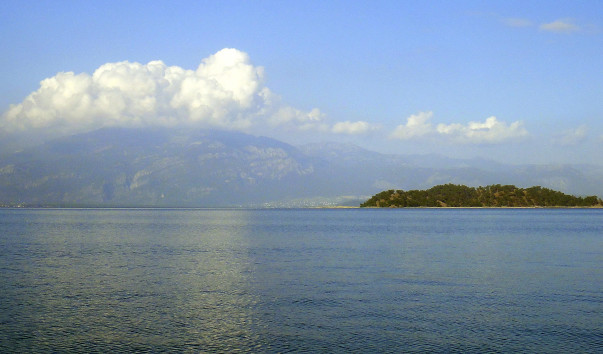 DSC03871