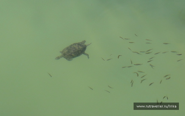photo 1722308