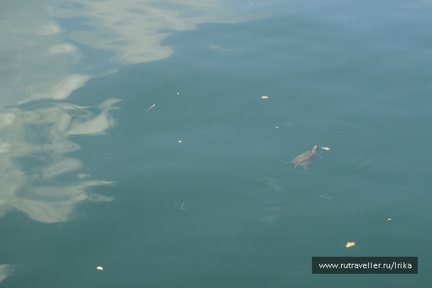 photo 1722676