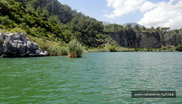 photo 1723874