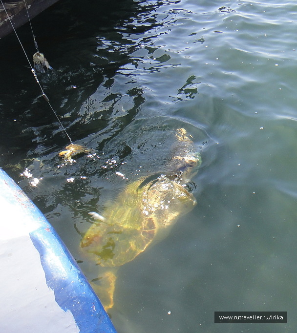 photo 1725575