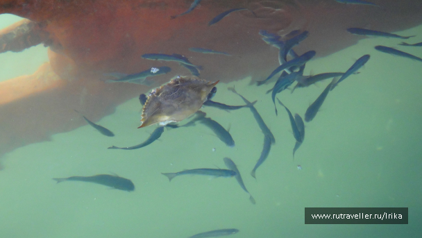 photo 1726570