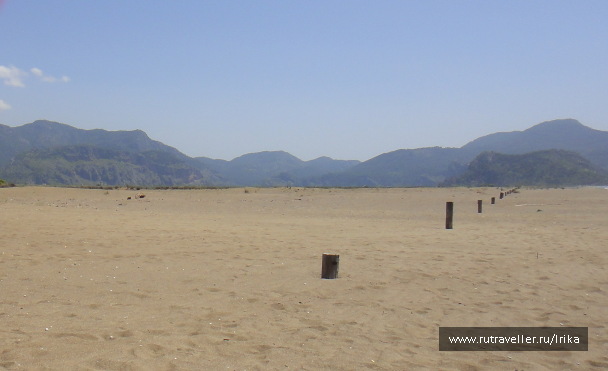 photo 1732359