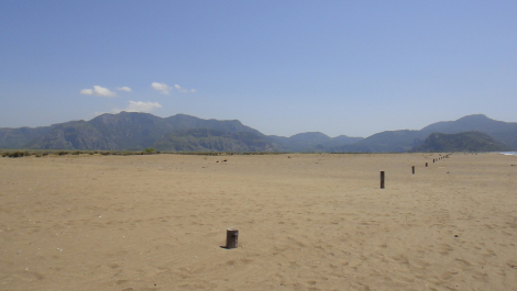 photo 1732360