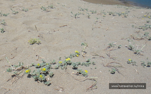 photo 1734330