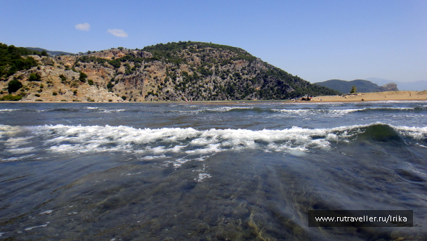 photo 1736784