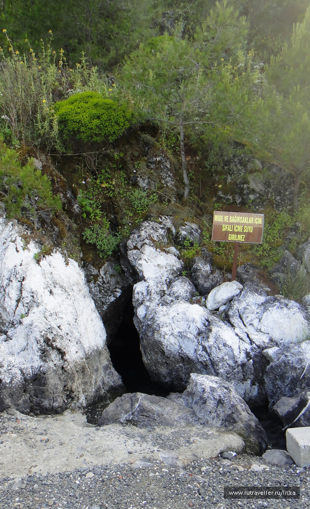 photo 1738559