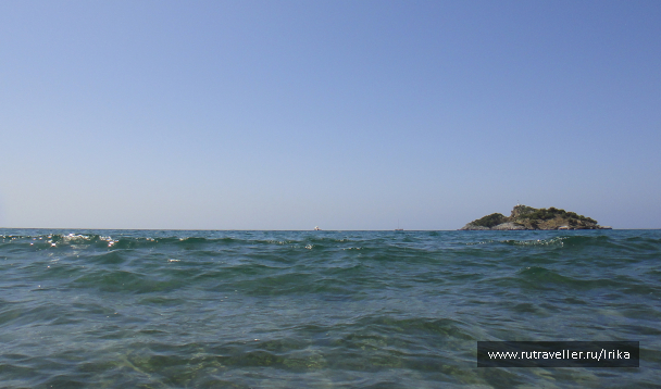 photo 1739846