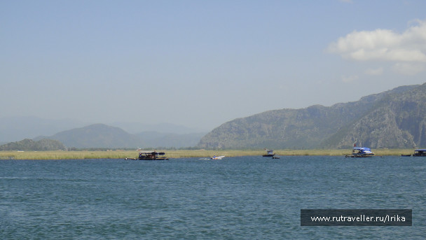 photo 1740660