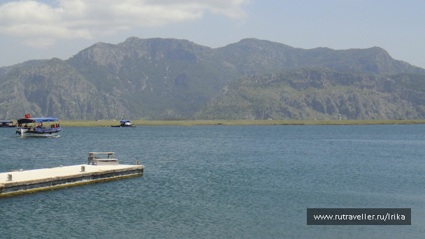 photo 1740662