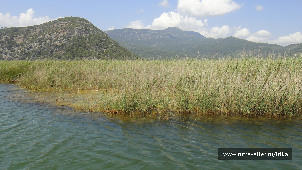 photo 1742175