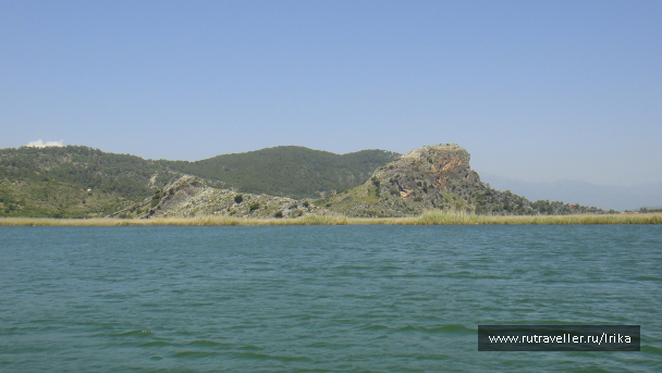 photo 1742420