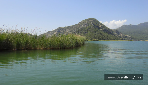 photo 1742421