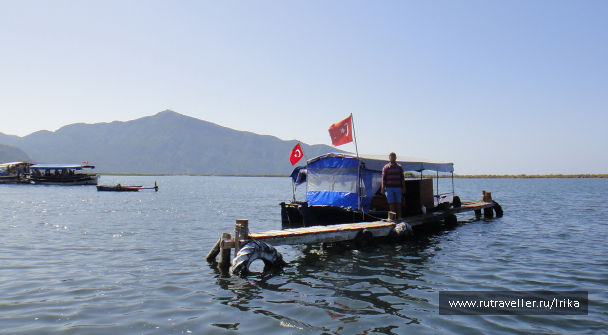 photo 1744660