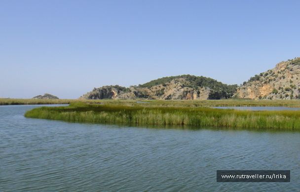 photo 1744664