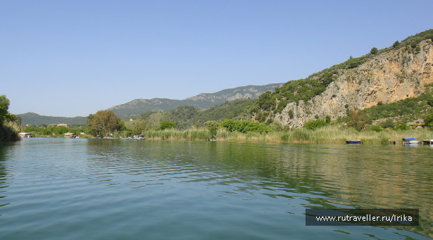photo 1746595