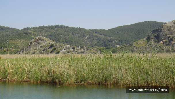 photo 1756316
