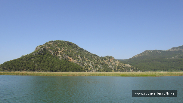 photo 1756565