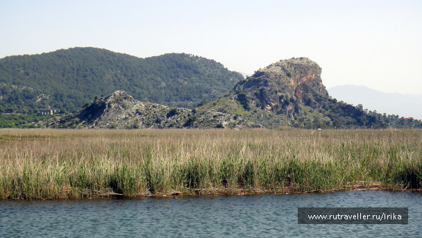 photo 1757292