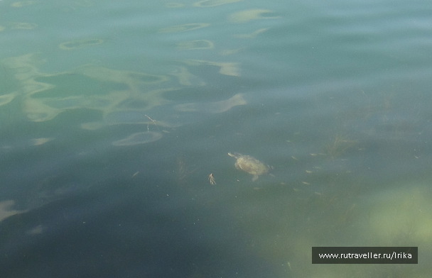photo 1775597