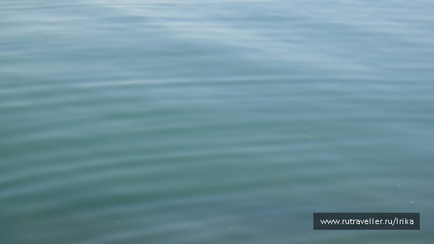photo 1775598