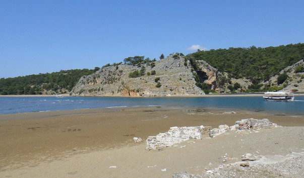 DSC03654