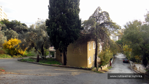 photo 1715116