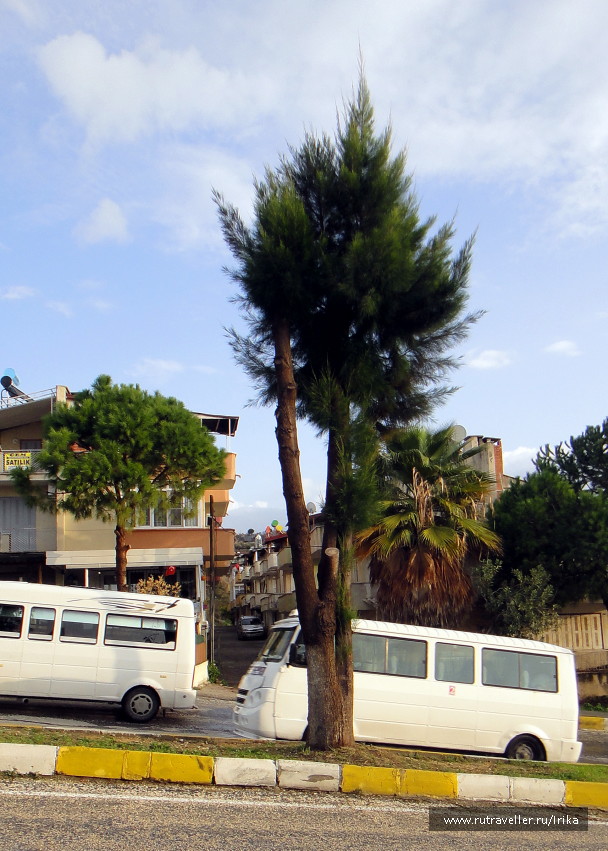 photo 1715454