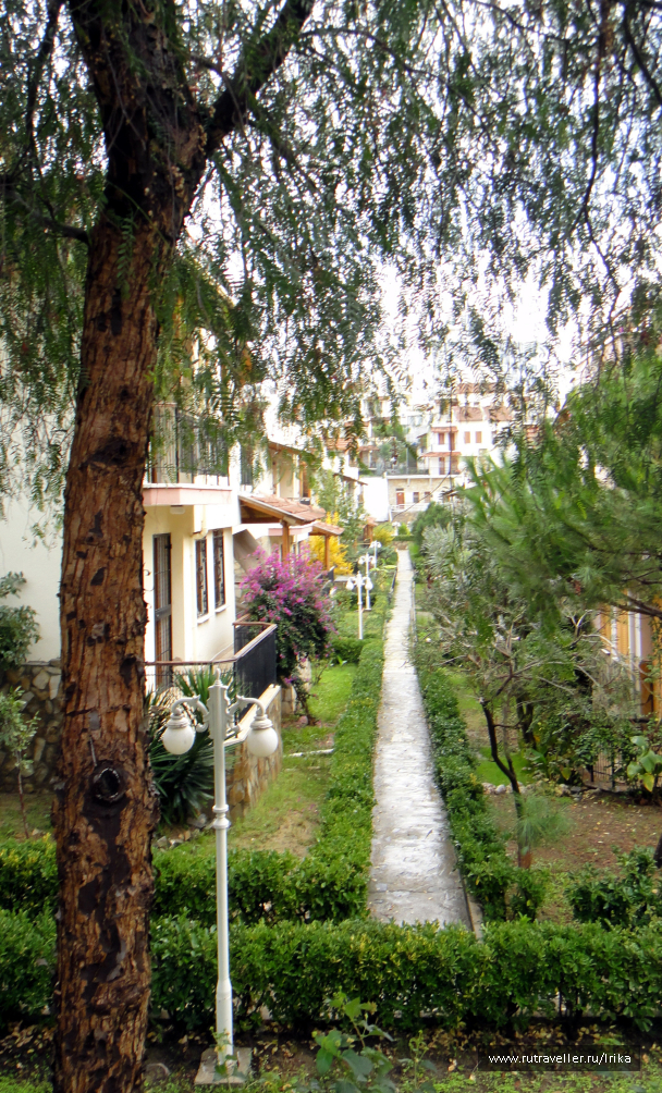 photo 1716375