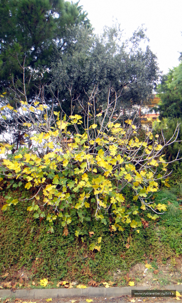 photo 1716378