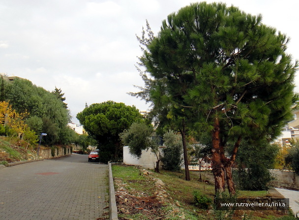 photo 1716615